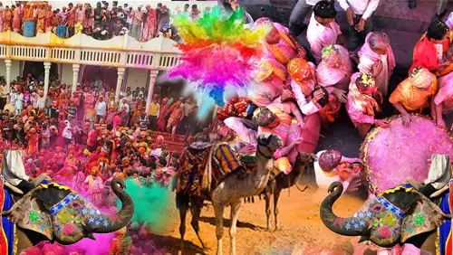 holi festival tour in rajasthan mobile