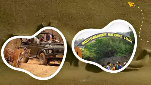 jaipur ranthambore 3 day tour package mobile