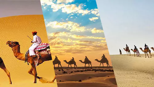 rajasthan desert safari tour mobile