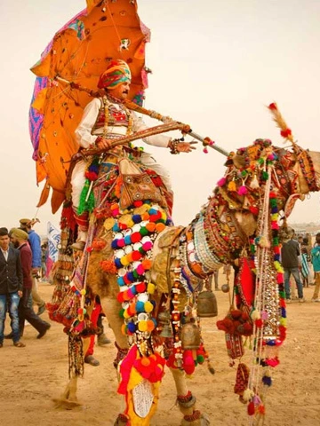 pushkar fair tour