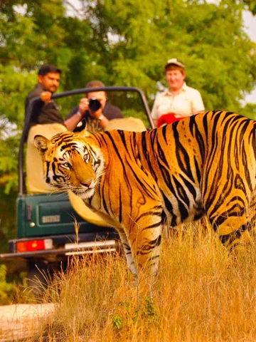 rajasthan wildlife tour