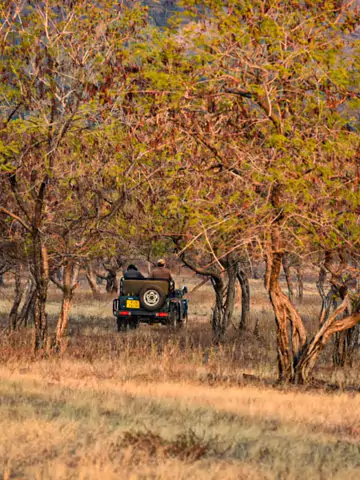 ranthambore national park